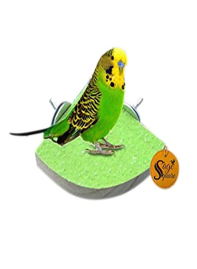 Sage Square Playful Natural Wood Sand Perch Platform Cage Toy for Parrot, Budgies, Cockatiel, Lovebird, Budgerigar, Sun Conure, Finch, African Grey, Canary, Cockatoo, Macaw Birds (4 Inches)